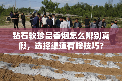 钻石软珍品香烟怎么辨别真假，选择渠道有啥技巧？